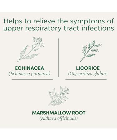 Traditional Medicinals - Organic Throat Coat Lemon Echinacea Herbal Tea (Pack of 6) - Helps Relieve Symptoms of Upper Respiratory Tract Infection - Sustainably Sourced Fair Wild Ingredients - 96 Tea Bags Total Throat Coat Lemon Echinacea 16 Count (Pack of - Buy Online on GoSupps.com