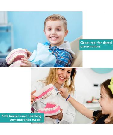 LVCHEN Mouth Model for Speech Therapy - Dental Hygiene Teeth Model with Movable Tongue and Denture Toothbrush - Buy Online on GoSupps.com