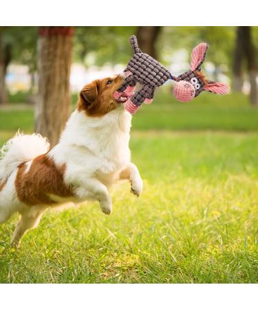 Buy Awoof Interactive Plush Dog Toys - 4 Pack Squeaky Chewing Bone Toys for All Sizes | Durable Cotton Fabric - Buy Online on GoSupps.com
