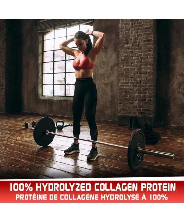 Predator Labs - Minotaur Beef Protein 2kg -23g of protein Hydrolysed Beef Collagen Protein 133 Servings Lactose free Gluten free help to recovery and joint support. Cookies & Cream - Buy Online on GoSupps.com
