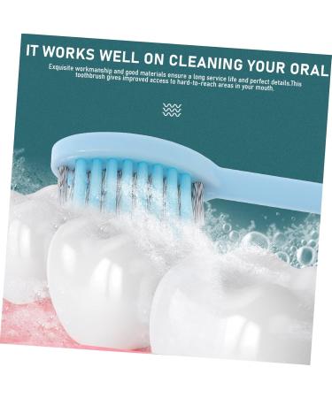 Buy Healeeved 3-Piece Foldable Ortho-In Travel Toothcase | Interdental Toothpaste Brush with Collapsible Design | Portable Manual False Bracket for Hiking | 1 Pack (Blue 3 Stk) - Buy Online on GoSupps.com