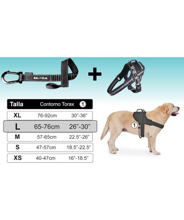 Bike & Dog - Patented Dog Leash and Harness for Biking | 3 Ring Dishes & Special Bicycle Bridles - Buy Online on GoSupps.com