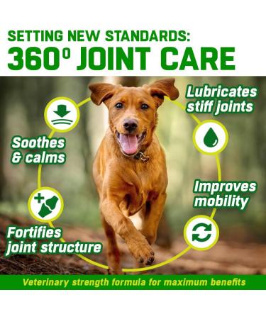Dog Joint Care Supplements | 150 Chews with Green Lipped Mussel, Glucosamine & Chondroitin | Hemp Oil, MSM, Hyaluronic Acid, Manganese & Vitamins | Aids Stiff Joints | 1 Pot (150 Chews) - Buy Online on GoSupps.com
