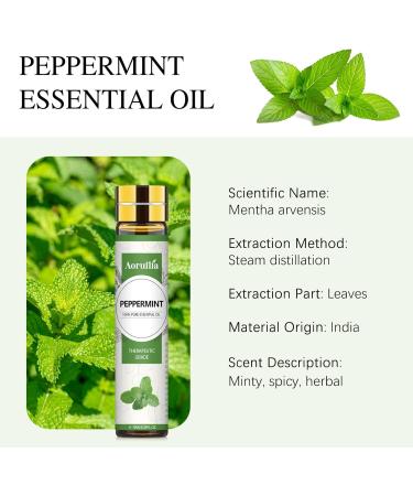 Aoruilia 10ml Peppermint Essential Oil 100% Pure Natural - Therapeutic Grade Peppermint Oil Aromatherapy Essential Oils for Diffuser for Home Headache Relief Skin & Hair Care Candle Making Peppermint 10 ml (Pack of 1) - Buy Online on GoSupps.com