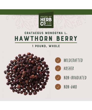 Hawthorn Berries, by Herb Co, Whole Dried, For Teas, Jams, Syrups & Herbal Wellness, Antioxidant-Rich Haws, 1 lb - Buy Online on GoSupps.com