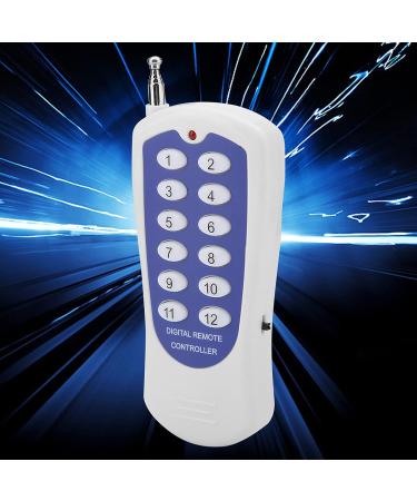 LIZEALUCKY Professional 12 Channel Wireless Fireworks Firing System with Remote Control and 2 Receivers - Electronic Fireworks Relay Switch Transmitter - Buy Online on GoSupps.com
