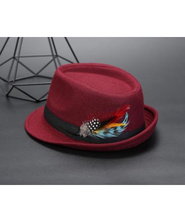 FALETO Hat Feathers 12 Pcs - Assorted Natural Feather Packs for Hats and Accessories - Buy Online on GoSupps.com