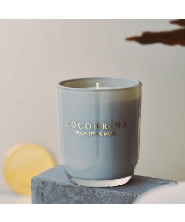 Cocorr na Eucalyptus Musk Candle - 180g Natural Soy Wax 22 Hours Burn Time | Perfect Christmas Gift - Buy Online on GoSupps.com