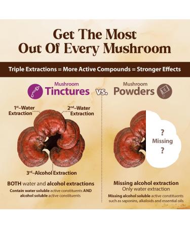 Dragon Herbs Turkey Tail Coriolus (Wild) Drops Mushroom Supplement Immunomodulator Support Microbiome Resilience Gut Liver Health Triple Extraction Fast Acting Super Potent 2 fl oz 60mL - Buy Online on GoSupps.com