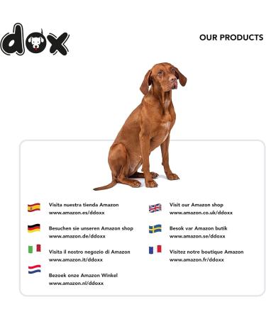Ddoxx Reflective Extendable Dog Leash - Many Colors & Sizes for Small & Large Dogs | Retractable Belt Leash - 5m Up to 50kg Blue - Buy Online on GoSupps.com