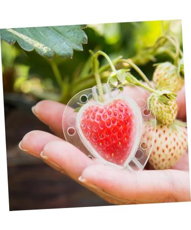 VANZACK Fruit Shaping 4pcs Heart Transparent Fruit Garden Strawberry Forming Jujube Major Melon - Buy Online on GoSupps.com