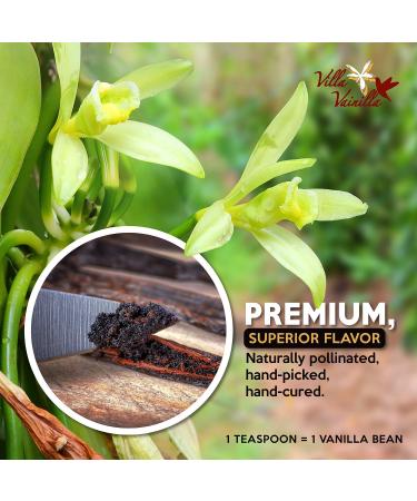 Villa Vainilla Pure Vanilla Extract - Premium Concentrated Vanilla Real Natural Gourmet Vanilla Flavor from Mexico 8.4 Fl Oz (Pack of 1) 8.4 Fl Oz (Pure Vanilla Extract) - Buy Online on GoSupps.com