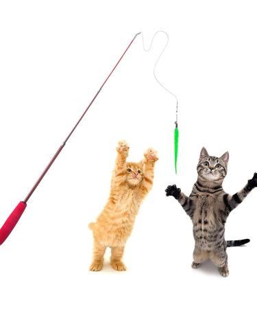 Shop Dasalles Interactive Cat Toys - Retractable Natural Spring Rod & 5 Replacement Fishing Worms | International Shipping Available - Buy Online on GoSupps.com