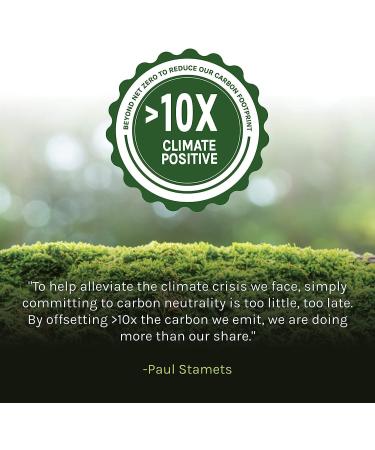 Host Defense Breathe* Extract - Immune & Respiratory Support Mushroom Liquid Supplement - Herbal Lung Health Supplement with Chaga Reishi & Cordyceps - 2 fl oz (60 Servings)* 2.0 Ounce (Pack of 1) - Buy Online on GoSupps.com