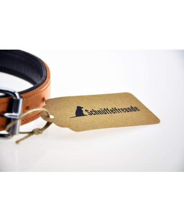 XXL Beige Leather Sniffing Fans Dog Collar - Padded Robust Ideal for Large Medium & Small Dogs (55-65cm) - Buy Online on GoSupps.com