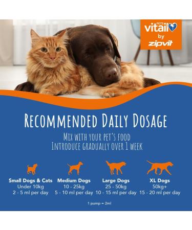 Zipvit Salmon Oil for Dogs 1 Litre 100% Pure Scottish Salmon Oil. Natural Omega 3 6 & 9 Supplement for Dogs and Cats. Supports Healthy Coat and Skin and Maintains Joint and Brain Health. 1 l (Pack of 1) - Buy Online on GoSupps.com
