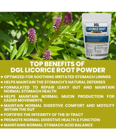 Kidney Restore DGL Licorice Root Powder Supplement - Made from Licorice Root Extract for Digestive Health and Gut Lining Support - Deglycyrrhizinated Mulethi Powder for Gut Wellness - 140 Servings 4 Ounce (Pack of 1) - Buy Online on GoSupps.com