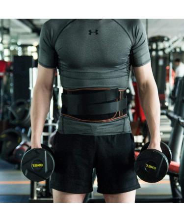 King of Kings Lower Back Brace Pain Relief with Pulley System - Adjustable Lumbar Support Belt for Women and Men - Ideal for Sciatica, Spinal Stenosis, Scoliosis, Herniated Disc - Large Size - Buy Online on GoSupps.com