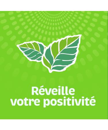 TicTac Chlorophylle Go t Menthe Verte - Bonbons frais sucr s - Format de Poche - 24 boites x 18g - Buy Online on GoSupps.com