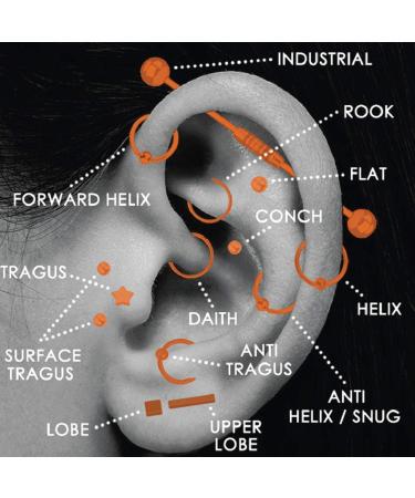 BodyJ4You 20PC PRO Body Piercing Kit | Surgical Steel 14G 16G | Nose Septum Ear Cartilage Lip Belly Navel Tragus Eyebrow | Needles Gloves Clamps Included - Buy Online on GoSupps.com