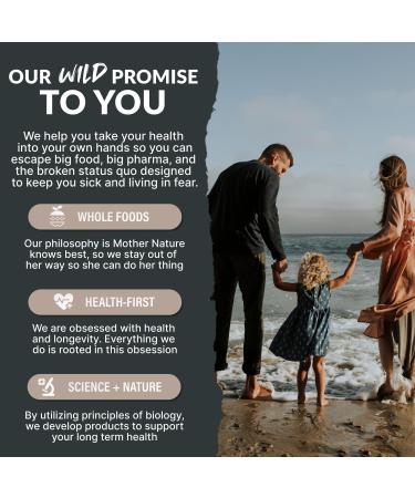 Organic Cocotropic Superfood Mushroom Hot Chocolate Mix 8 oz | Non-GMO Vegan Gluten Free Reishi Mushrooms Chaga 8 Ounce (Pack of 1) - Buy Online on GoSupps.com