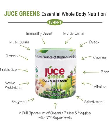 Terra Kai Organics JUCE Green Superfood Powder - Organic Fruits/Veggies Supplement with 77 Superfoods, Prebiotic & Probiotic Blend - Harvest Apple Flavor - 20 Servings (230g) - Buy Online on GoSupps.com