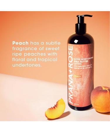 Ultra Moisturizing Shea Butter Lotion with Hyaluronic Acid & Rosehip Oil | Organic Vegan Anti-Aging Body & Hand Lotion 16oz (Peach - Buy Online on GoSupps.com