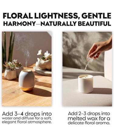 Organic Lily Essential Oil Blend | 100% Pure Botanical Aroma Blend with Soft Floral Notes | for Diffuser Candle Making & DIY Aromatherapy Blends 0.34 fl oz Lily 0.34 Fl Oz (Pack of 1) - Buy Online on GoSupps.com