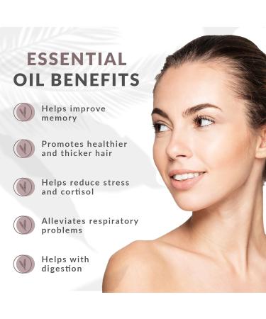 Pure Rosemary Essential Oil - Promotes Natural Hair Growth & Enhances Memory - Therapeutic Grade Essential Oils for Aromatherapy - Concentrated Plant Extract for Mental Focus 15mL Rosemary 0.5 Fl Oz (Pack of 1) - Buy Online on GoSupps.com