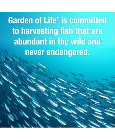 Garden of Life Oceans 3 Healthy Hormones with OmegaXanthin - 90 Softgels for Hormonal Balance - Buy Online on GoSupps.com