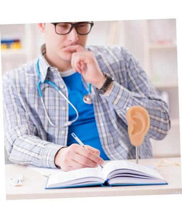 Healifty Silicone Human Ear Model - 3D Simulation Tool for Teaching and Care - Beige - Buy Online on GoSupps.com