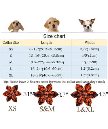 Adorable Halloween Dog Collar with Flower | Aring Pet Dog Collar for Boys & Girls | Medium Orange Grille | Perfect Autumn Gifts - Buy Online on GoSupps.com