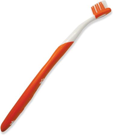 Nylabone Advanced Oral Care Cat Dental Kit Original (3 Count) Cat Adult Cat - Buy Online on GoSupps.com