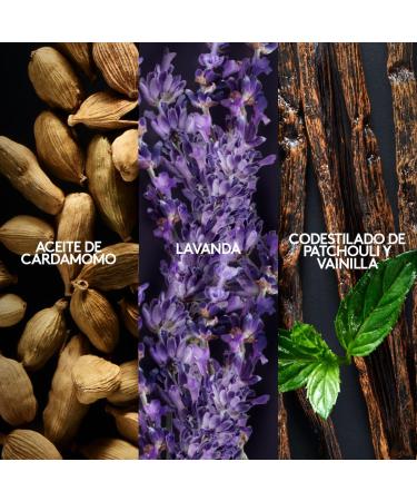 D'orsay Inspire Perfume de Hombre 90 ml Esika - Buy Online on GoSupps.com