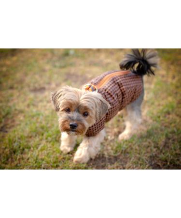 Selente Paw Parade Waterproof Dog Coat | Fleece Lining Rain Jacket for Small & Medium Dogs | EU Made | Size 4 Raspberry - Buy Online on GoSupps.com