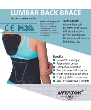 AVESTON Back Brace for Lower Back Pain Relief 6 ribs Belt with Lumbar Pad Support for Men/Women Light Thin Orthopedic Rigid Adjustable Brace Herniated Disc - Size 25 33 Inch Around Belly Small - Buy Online on GoSupps.com