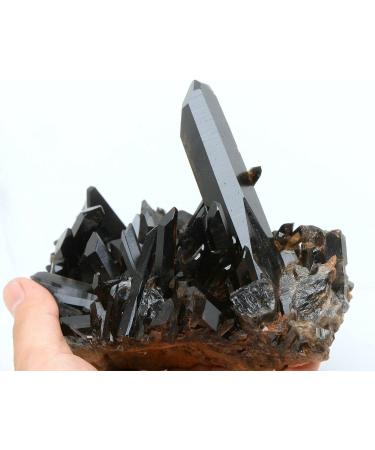 990g Natural Black Quartz Crystal Cluster Specimen JZIGTDEM - Buy Online on GoSupps.com