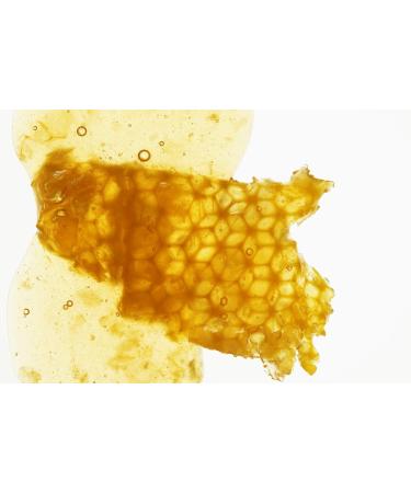 Buy Burt's Bees Honey Lip Balm Stick 4.25g - Nourishing & Moisturizing | International Shipping - Buy Online on GoSupps.com