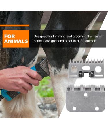 Risegun Horse Shears Replacement Blades 35 Tooth Professional Carbide Clipper Blades Horse Clipper Replacement Blade Carbide Livestock Hair Trimmer Universal Blades for Horse Equine Goat Pony Cattle - Buy Online on GoSupps.com