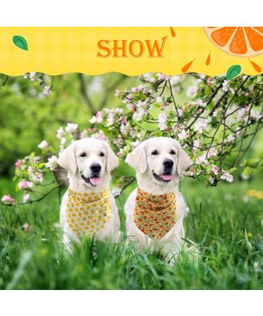 Pawchie Cute Dog Bandana 9 Pack - Cooling Summer Style Scarfs for Pet Puppy Boys & Girls - Soft Triangle Scarfs in Yellow - Buy Online on GoSupps.com