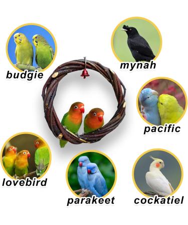 Qeeheng Natural Wood Bird Swing - Circular Hanging Ring with Bell | Parrot Cage Accessories for Nymphensittiche & More - Buy Online on GoSupps.com