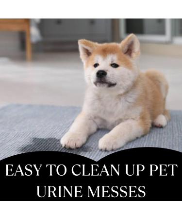 UrineFree - PetFresh - Odor & Stain Remover from any surface Suitable for Carpets Upholstery and Hardwood Floors - for Children Dogs and Cats - Household Uses (32 oz / 946 ml) 6 ml (Pack of 1) - Buy Online on GoSupps.com