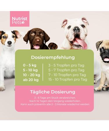 Nutrist NEW: Vegan Natural Worm Treatment for Dogs - Herbal Liquid for Stomach & Intestine Infestation - 50ml Deworming Solution - Buy Online on GoSupps.com