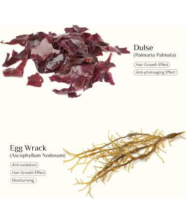 SEAWEED ORGANICS - Seaweed hand rescue cream Hydrating and Revitalizing with Organic Seaweed Extract Organic jojoba olive & coconut oils All Skin type 60g DIANA DRUMMOND - Buy Online on GoSupps.com
