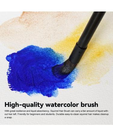 LIGHTWISH Watercolor Brushes - Professional Mop Round Paintbrush for Art Painting, Illustration & Animation - Art Supplies for Rendering - RX12 - Buy Online on GoSupps.com