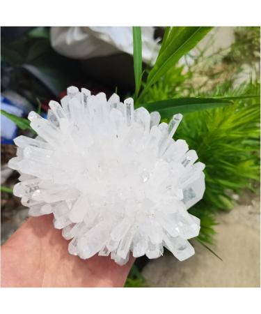 Natural Crystal Rough Natural Crystals Clear Quartz Cluster Freeform Reiki Stones Room Home Office Aquarium Decoration Accessories Gemstone Decoration (Size : 500-600g) - Buy Online on GoSupps.com