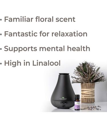 Plant Therapy Lavender Essential Oil 10 mL - 100% Pure & Undiluted Therapeutic Grade for Aromatherapy and Body Care - Buy Online on GoSupps.com