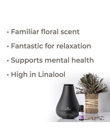 Plant Therapy Lavender Essential Oil Roll-On 10 mL - 100% Pure, Pre-Diluted, Therapeutic Grade, Natural Aromatherapy - Buy Online on GoSupps.com