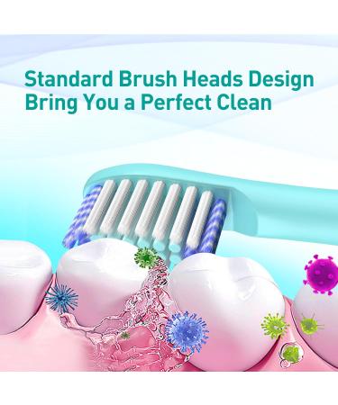 Toothbrush Replacement Heads Compatible with Colgate Hum Electric | 8 Pack Green Brush Heads for Colgate 360 Power Charcoal Deep Clean - Buy Online on GoSupps.com