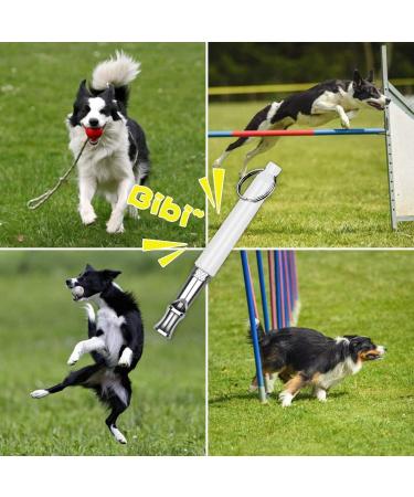 WENSILIAN Dog Whistle 2 Pack Dog Whistle to Stop Barking for Dogs Recall Training Whistle Professional Silent Dog Whistle to Stop Barking Training Control Tool for Puppy with Black Strap Lanyard - Buy Online on GoSupps.com